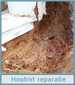 Houtrot reparatie